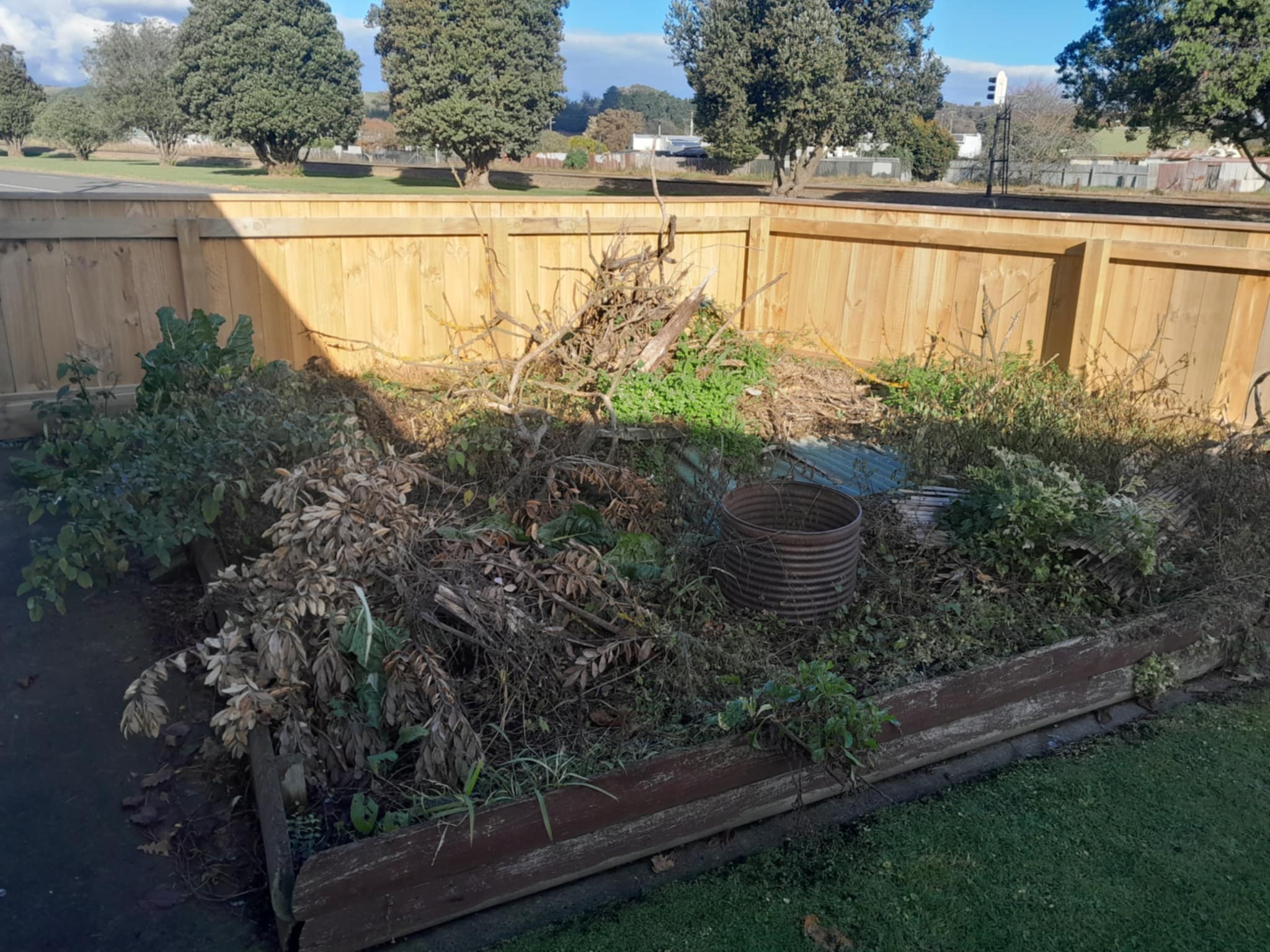 Before - Overgrown Garden